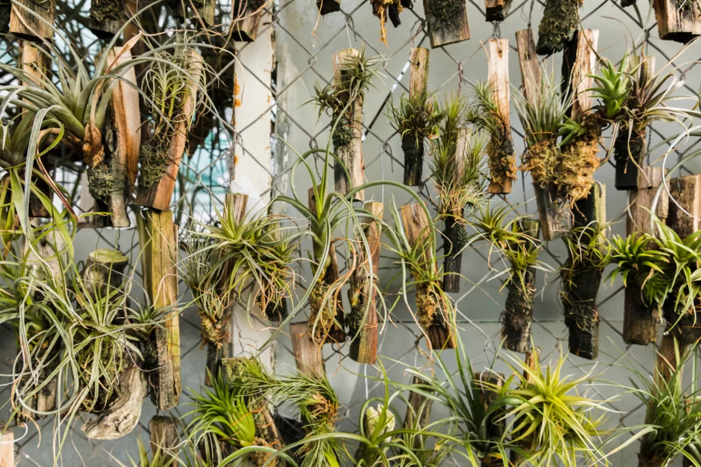 Decorar um Jardim Pequeno