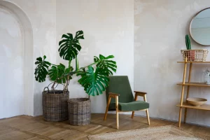 Decoração de Sala Pequena: 50+ Ideias Criativas Para Maximizar Seu Espaço em 2025
